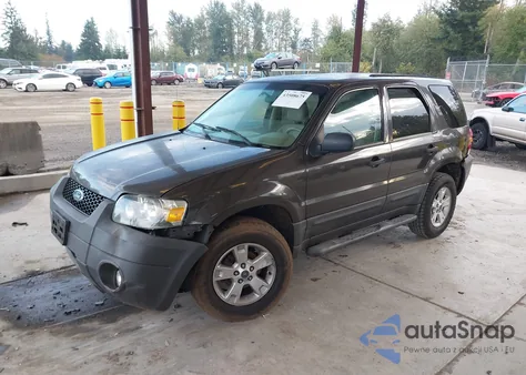 2007 Ford Escape Xlt/Xlt Sport z USA, uszkodzony, nr VIN 1FMYU03187KB51528